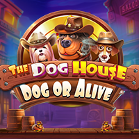 도그하우스 – Dog or Alive